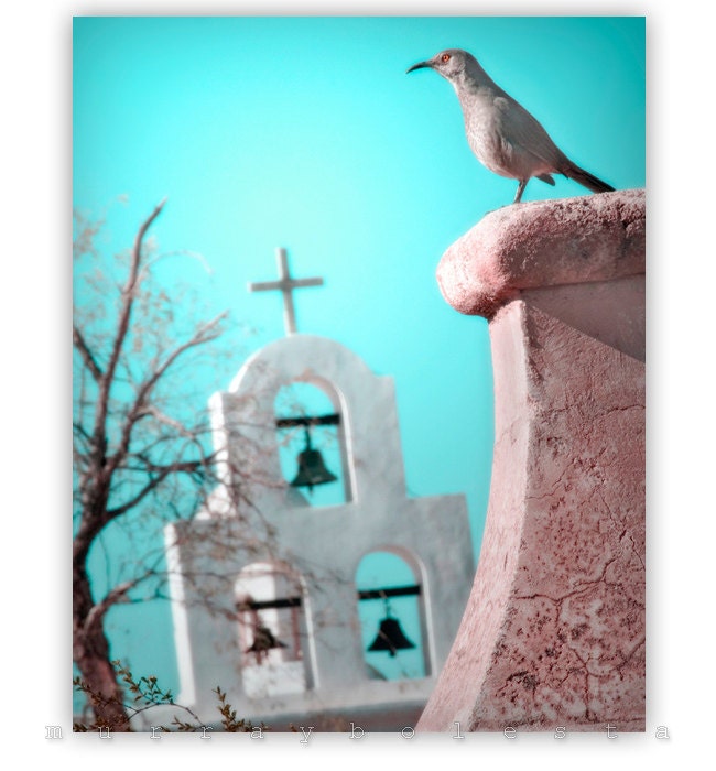 Fine Art Bird Photography, Church Art, Surreal, Teal, 8x10