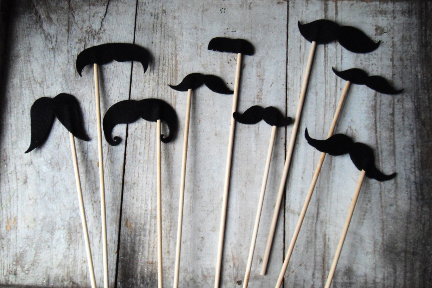 Mustache Photo Prop-Set of 9