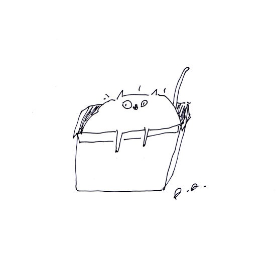 Box Cat- Fine Art Print- Ink Drawing- Up Early