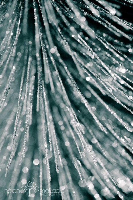 Fine Art Abstract Photograph. Sweeping Sparkles. Teal and Silver Glitter. Bokeh. Home Decor.  8x12 Print
