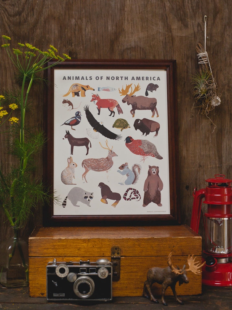 North American Animals Print