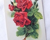 French Vintage Red Rose Postcard/ Vintage Birthday Card Home Decor/Collectible Flower Antique Card