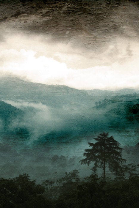 Nature Photography Landscape Photography Costa Rica Art Forest Woodland Cloud Forest 8x12 Photo Print - Above the Clouds and Beyond...