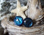 Blue Paua Shell Stud Earrings Titanium Posts and Clutches Handmade in Newfoundland 8mm Round Deep Blue Hypo Allergenic