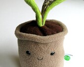 Coloured Plant - beige pot