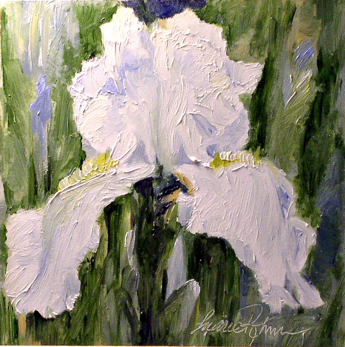 Oil Painting Botanical Garden Flowers White Pale Blue Iris Original Artwork by Laurie Rohner