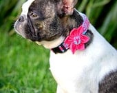 Pink Damask Dog Collar Flower Set - Princess Damask - Made to Order in Your Choice of Size