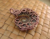 Wire Wrapped Ammonite Fossil Pendant in Antiqued Copper Wire