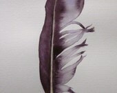Deep purple feather -- original watercolour painting