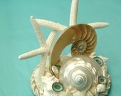 Beach Wedding Cake Topper with Starfish, Nautilus and Aqua Shells