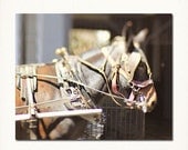 New Orleans French Quarter Photography Wall Art. Mule, Horse, Carriage Ride, 8"x10" Photograph. Spring Affordable Home Decor.