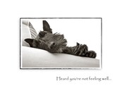 Scottie Dog Get Well Greeting Card
