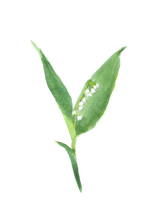 lily of the valley, spring flowers, watercolor postcard