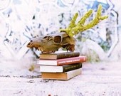 SALE Deer Skull Taxidermy Patina Rosebuds and Moss 'Childhood'