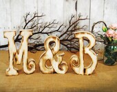 Wooden Guest Book Letter Alternative with Twig Style Pen - Any letter available- SET of Two Letters with & sign