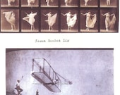 Basic Paper Airplane, Issue 6 (Zine)