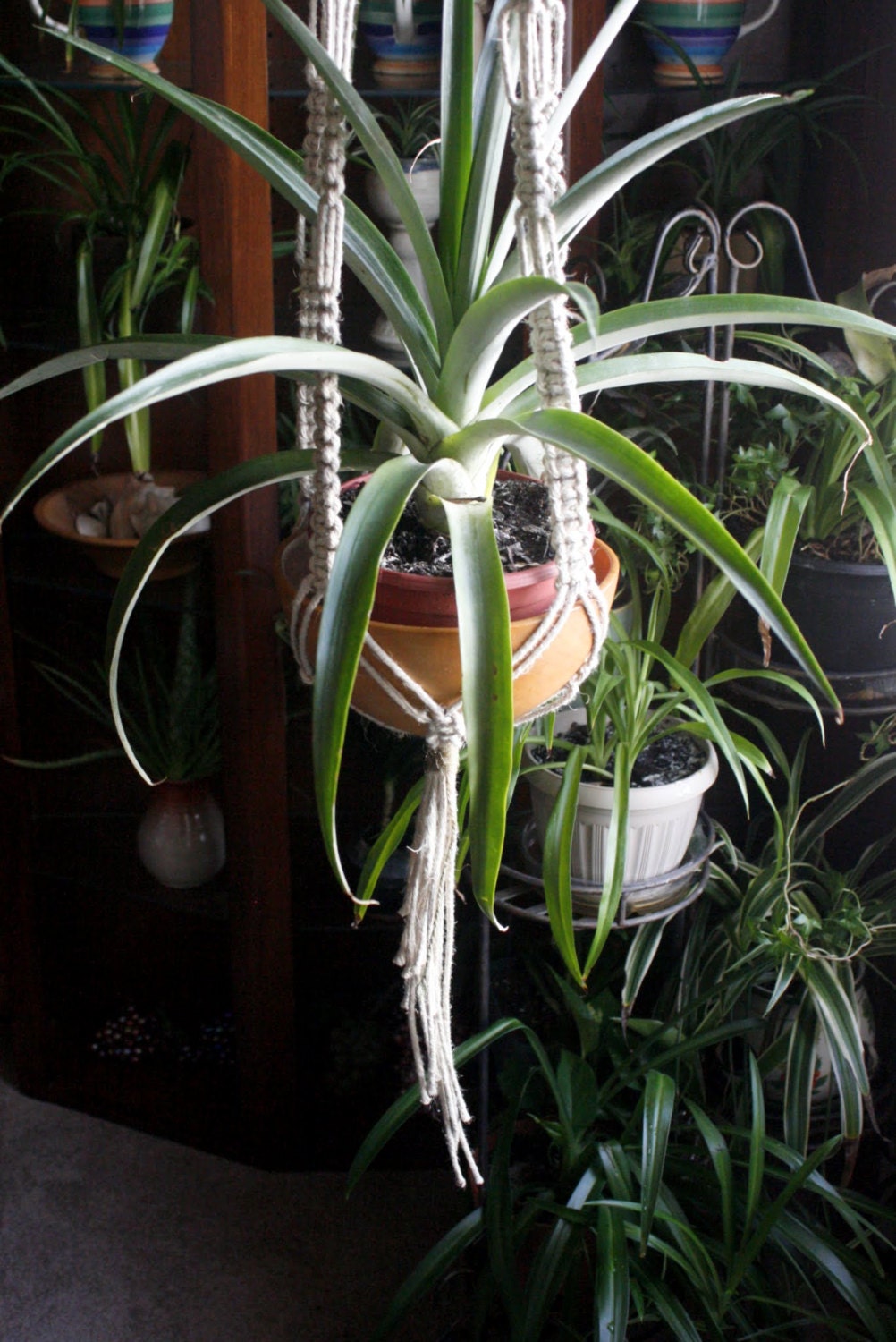 Modern Macrame- Star Chaser- Handmade Natural Hemp Macrame Plant Hanger- Gardening- Naturalist- Ecofriendly