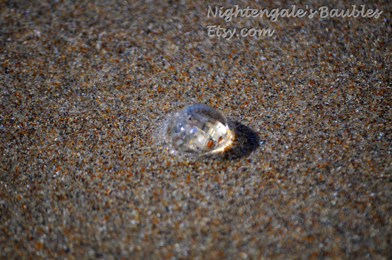 Jelly on the Sand 8x10 Fine Art Photographic Print