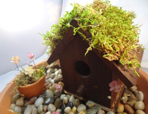 Flowered Fairy Garden