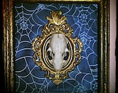 Death in Royalty Shadow Box/ Victorian Gothic Taxidermy