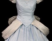 Adult Cinderella Parks Version Costume Custom Made