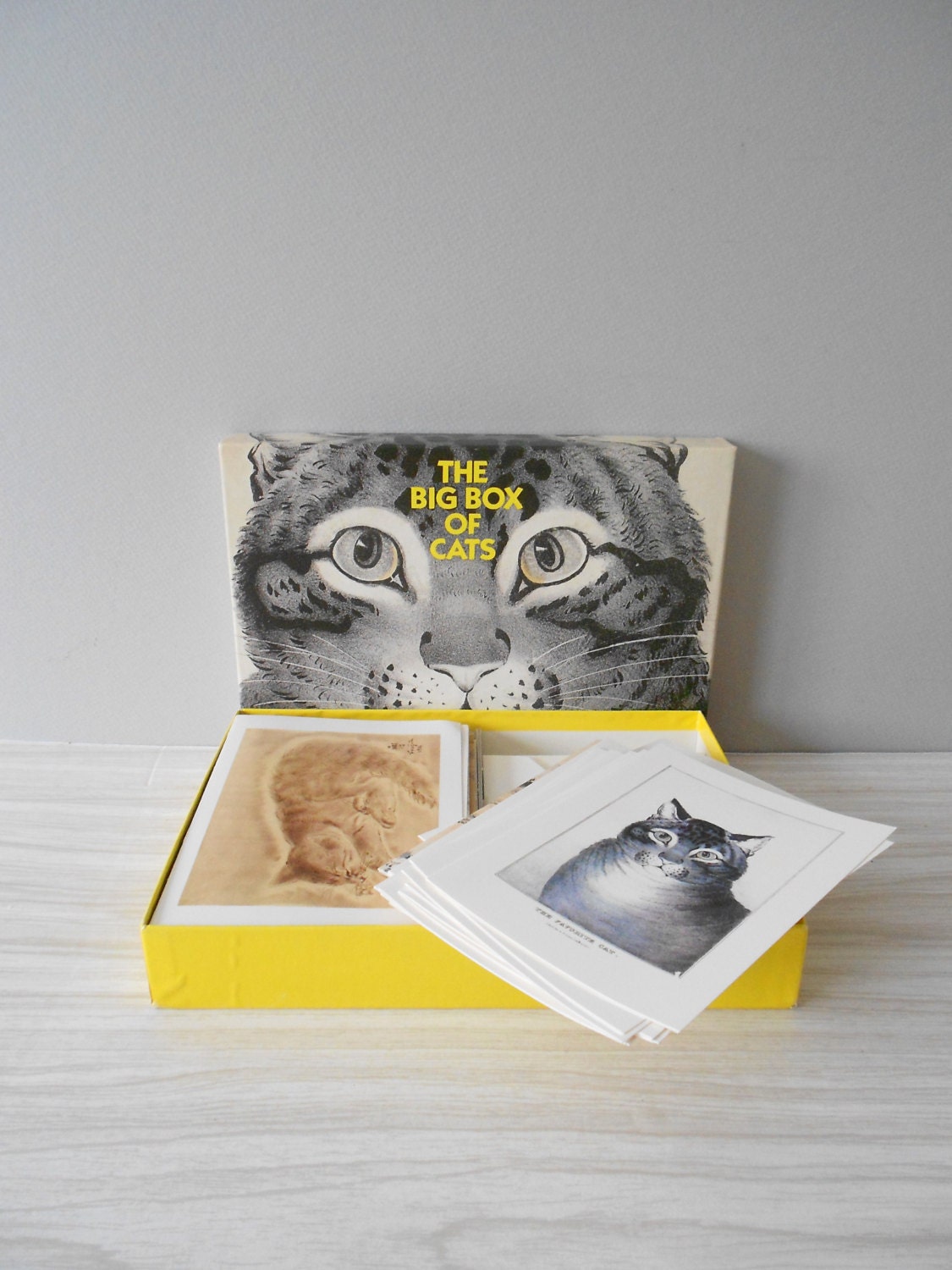 the big box of cats blank greeting cards // set of 37 note cards