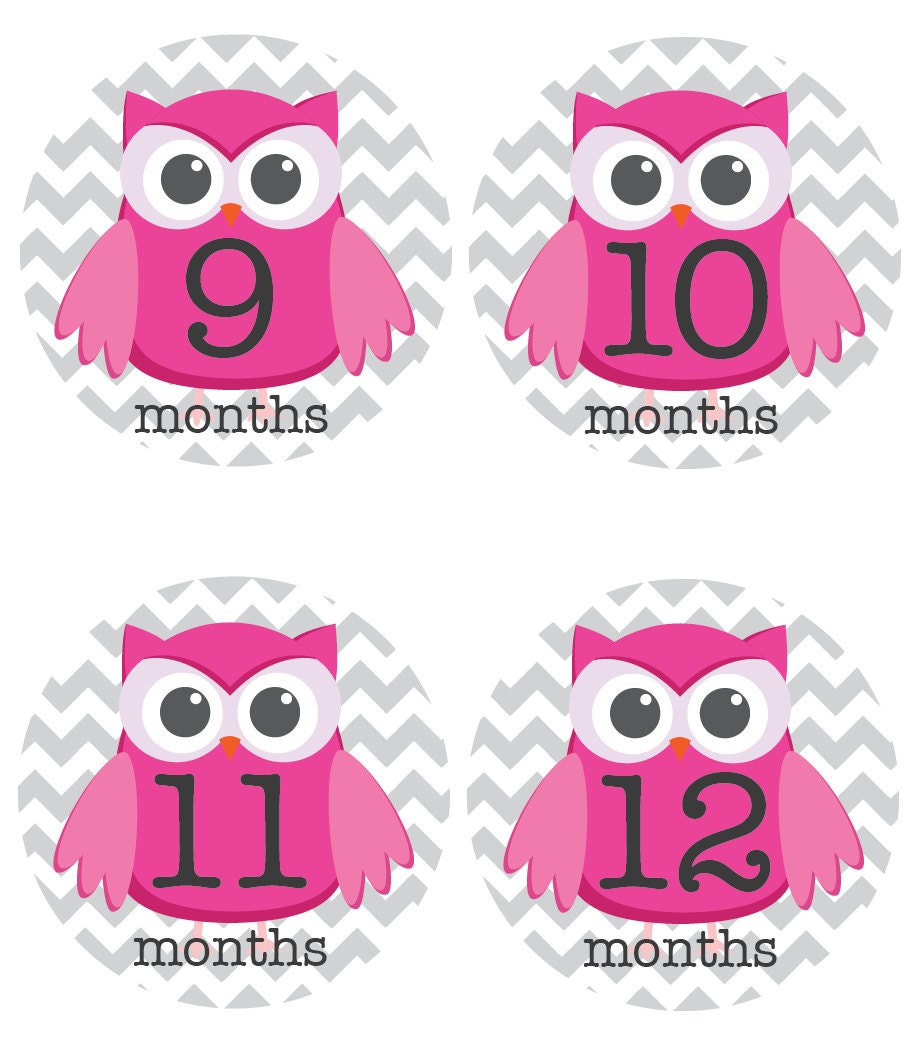 Owls on Chevron Onesie Stickers