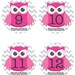 Owls on Chevron Onesie Stickers