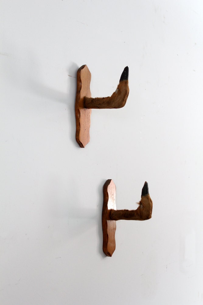 Vintage Roe Deer Hoof Mounts / 1940s Taxidermy