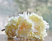 Yellow Flower Crown, Bridal Headband, Wedding Hair Accessories, Bridal Hair Wreath, Woodland Headband, Bridal Hair Flowers
