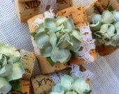 Mint Wedding Decor, Place Card Holders, Table Numbers, Spring Rustic Garden Mint Wedding Decor