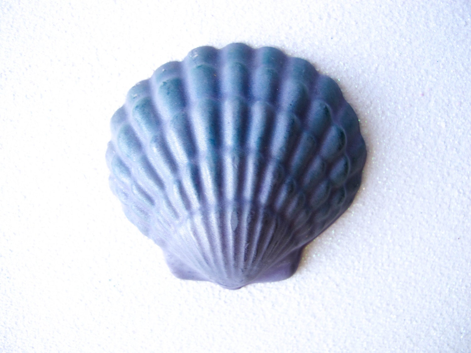 5 Chocolate Shells: Ocean Plum