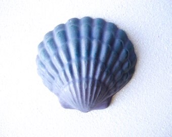5 Chocolate Shells: Ocean Plum