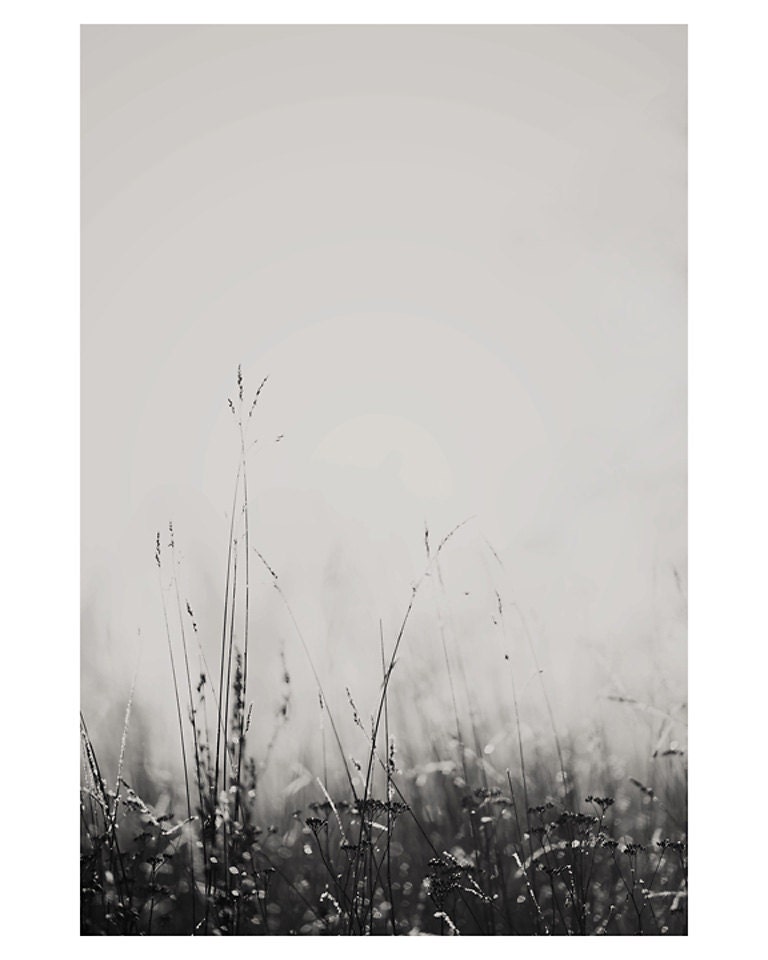 winter fog grass dew black and white photo print - whimsical fine art nature photography, cold, bokeh - 10x8