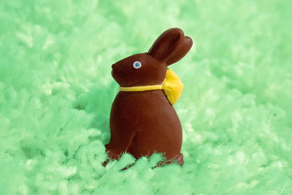 Chocolate Easter Bunny Ring