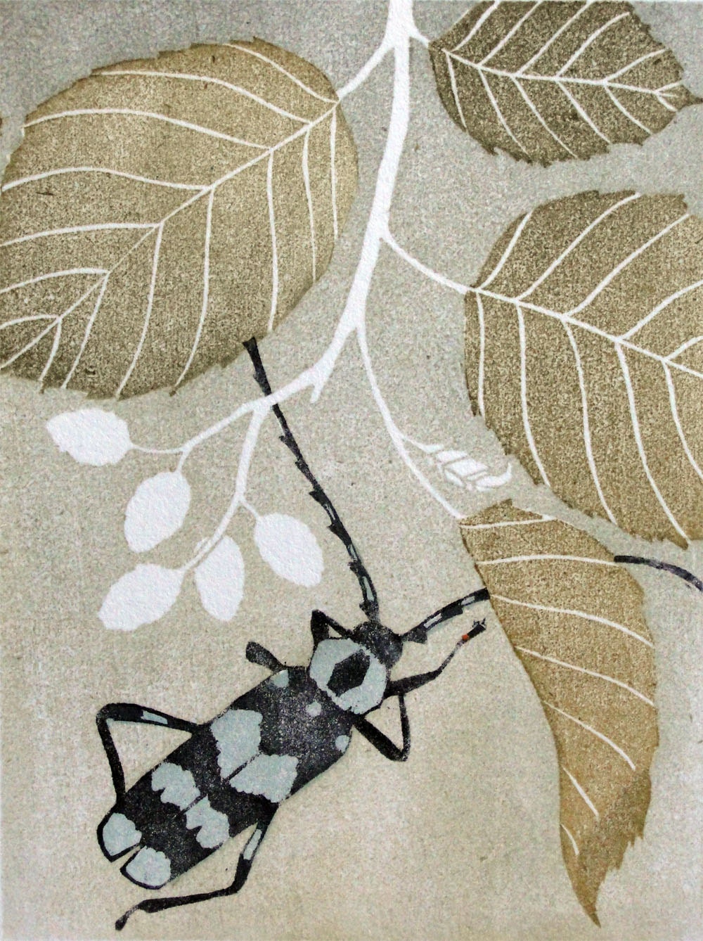 Alder - Original Woodblock Print by Kristen Etmund