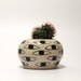 Sale - Eye Pot - Black and White succulent ceramic holder