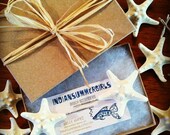 Starfish Hair Pin Boxed Set by IndianSummerGirls