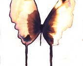 gold and black butterfly original watercolour and ink painting