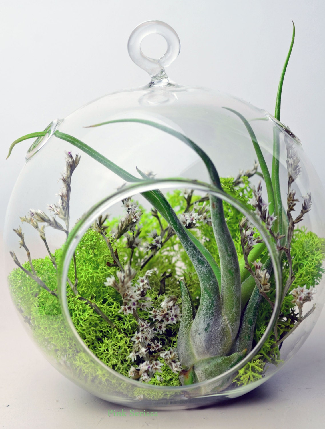 Air Plant Terrarium - Hanging Glass Orb - green reindeer moss - dried flowers - Home and Garden -  Green Gift