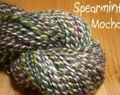 Handspun Yarn - Wool & Firestar - 2 Ply - Lt Worsted Weight - "Spearmint Mocha" - Item 2013-007