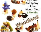 Mycrobe Cat Toy of the Month - Woodland Theme - 12 Months