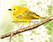 Yellow bird painting warbler 5x7 original watercolor painting home and garden decor wall art earthspalette