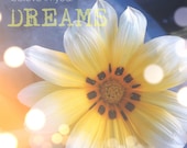 believe in your dreams, notecard, 10 x 10cm blank photo card, premium quality