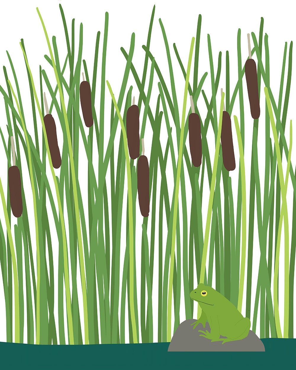 Fine Art Print.  Frog, Pond, and Cattails.  May 23, 2013.