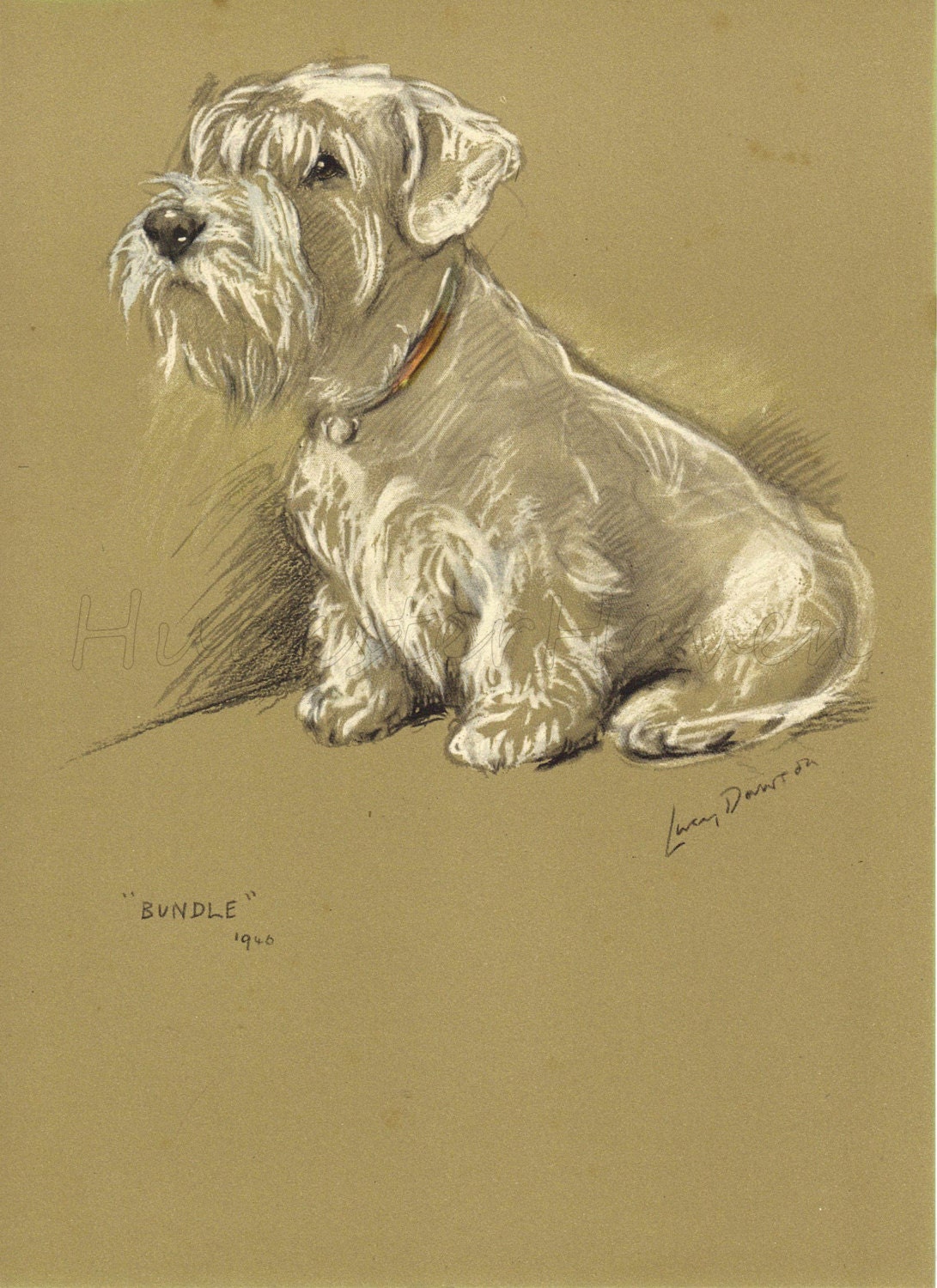 SCOTTISH TERRIER - 1940s  Lucy Dawson, Dog Print, Wall Decor,  Animal Print, Art Print, Illustration to Frame, plate, brown black white