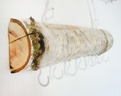 Aspen Branch Wall Decor // Hanger // Jewelry Hanger // Car Keys Hanger // Scarf Hanger // Natural Home Decor // Eco Friendly //SMALL