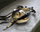 Metal Crab