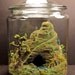 Mystic Mountain Stairway - Miniature Bonsai Zen Garden - Terrarium / Diorama