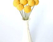 Craspedia Bouquet - Billy Balls,Woolyheads - (12) Yellow Pom Pom Flowers from Handmade Paper - Eco Friendly Home and Wedding Bouquet